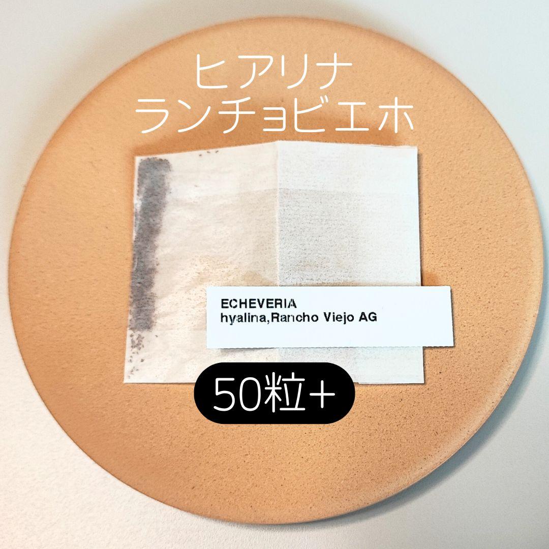 ゆゆ様 リクエスト 8点 まとめ商品