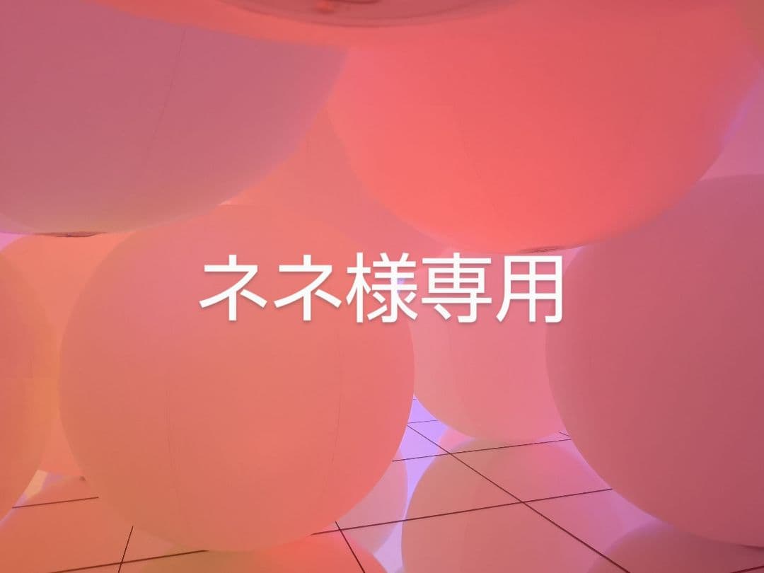 ネネ
