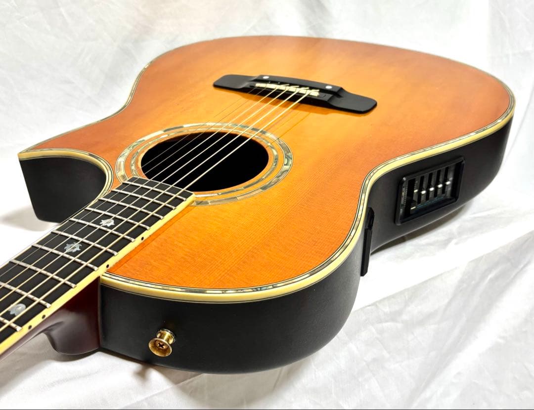 【新品弦張替済】Morris エレアコ TC-1 CUS