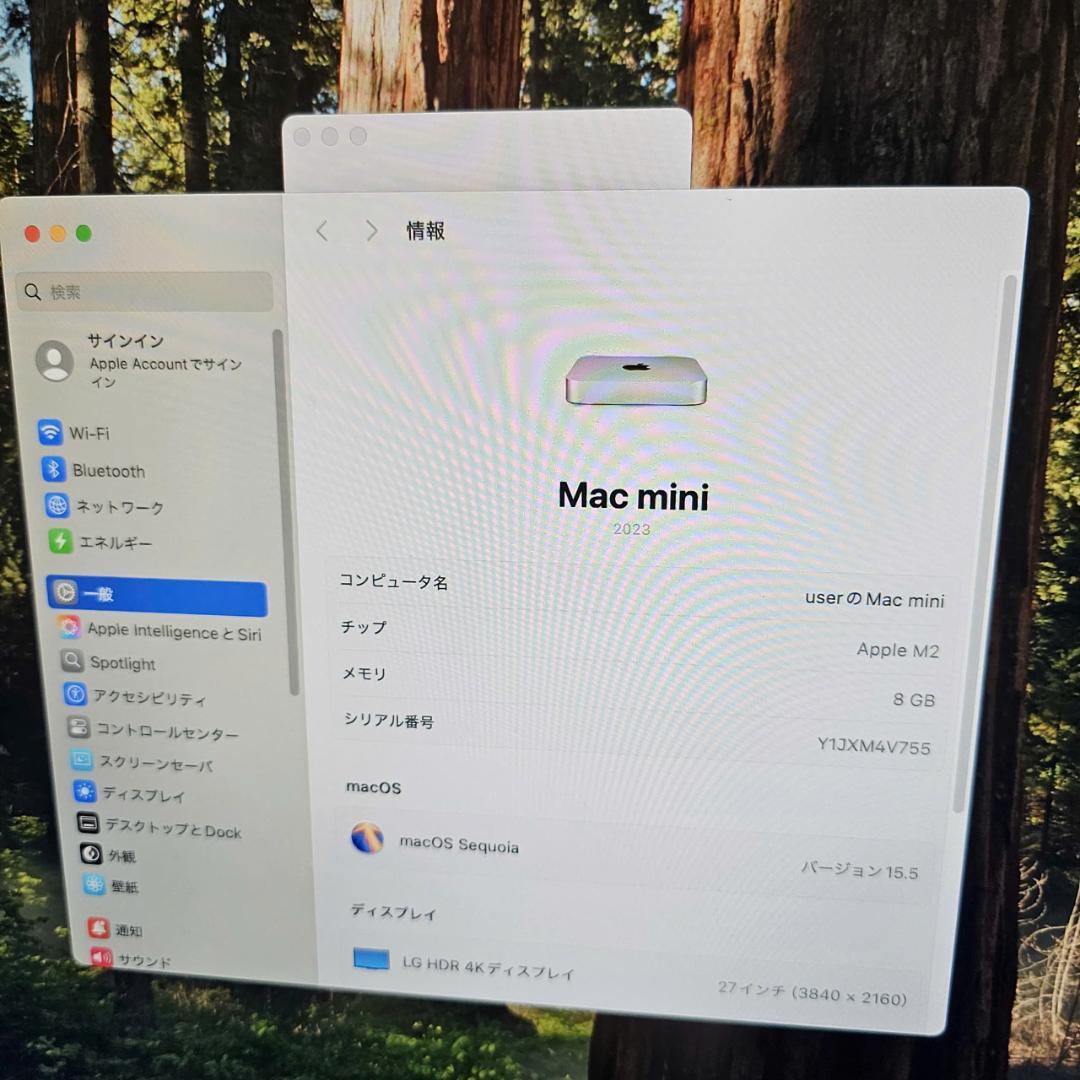 Macデスクトップ Mac mini 2023 M2 8GB 256GB