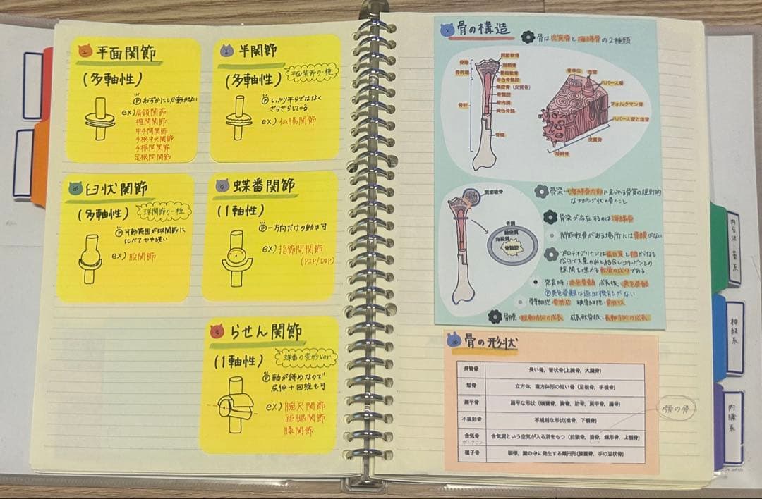 理学療法士 作業療法士 まとめノート、ふせんノート 【コピー】