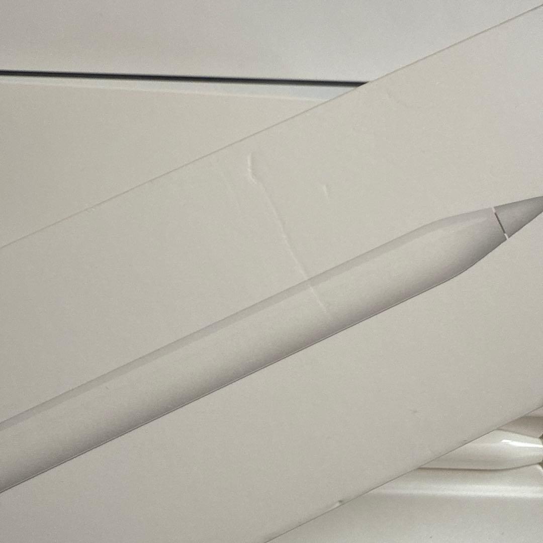 Apple Pencil (第1世代) ホワイト 専用ケース付き