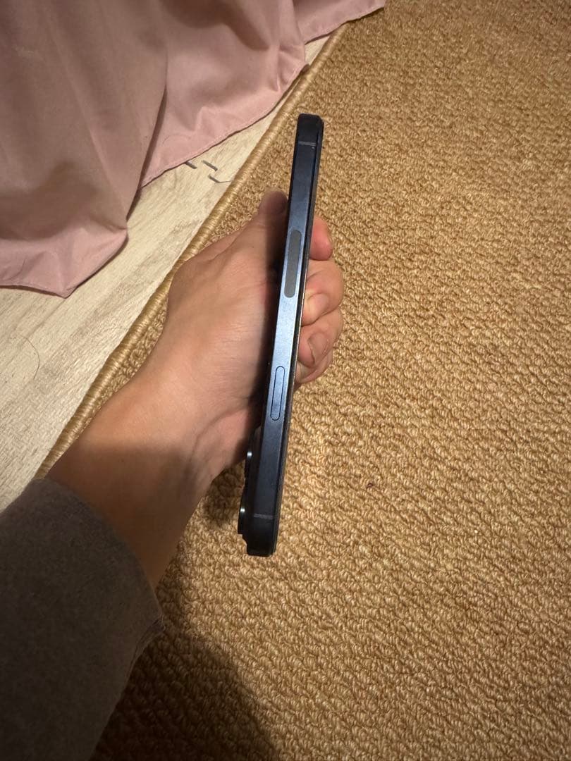 海外版iphone 15 Pro Max 256GB，極美品，バッテリー100%