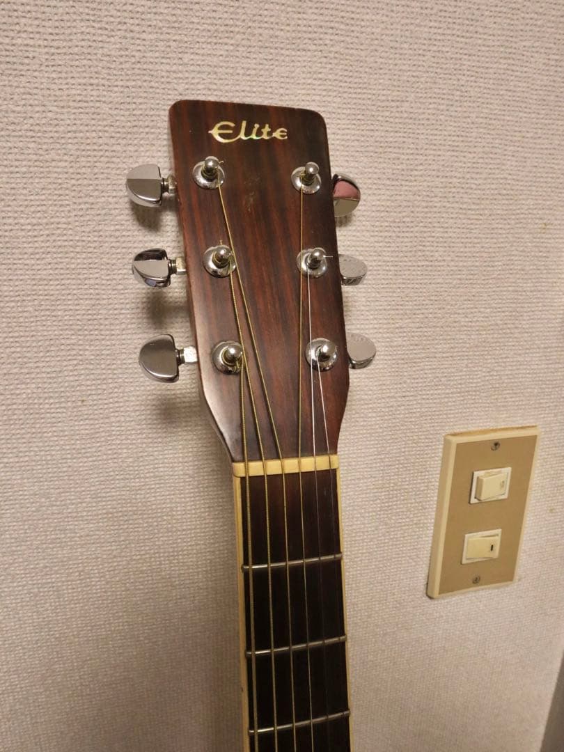 Elite Takamine TW-25 アコースティックギター