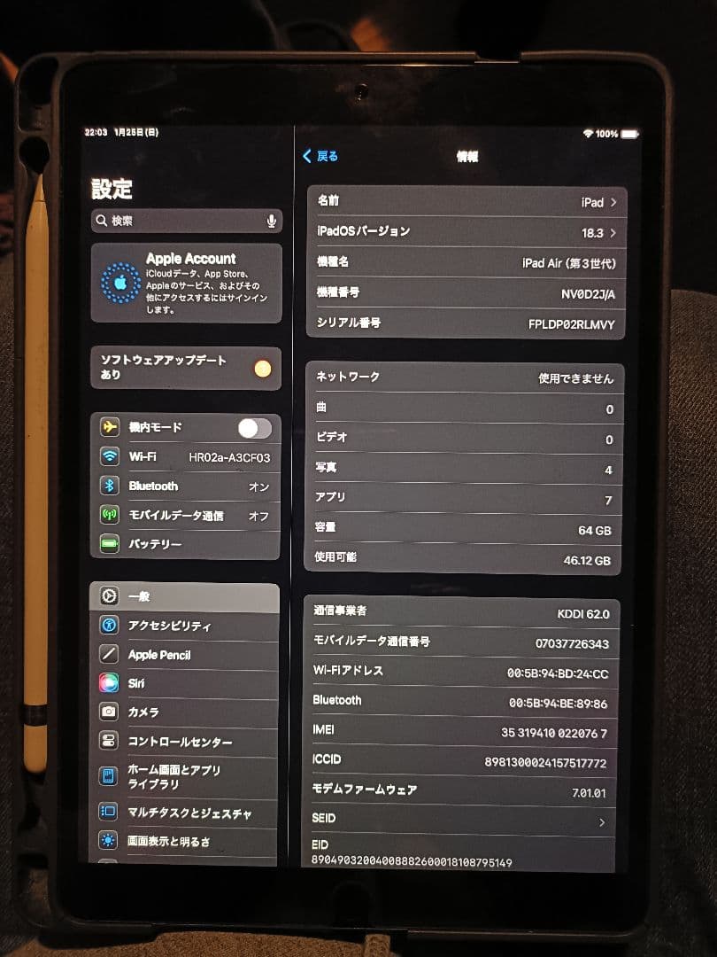 iPad本体 iPad Air